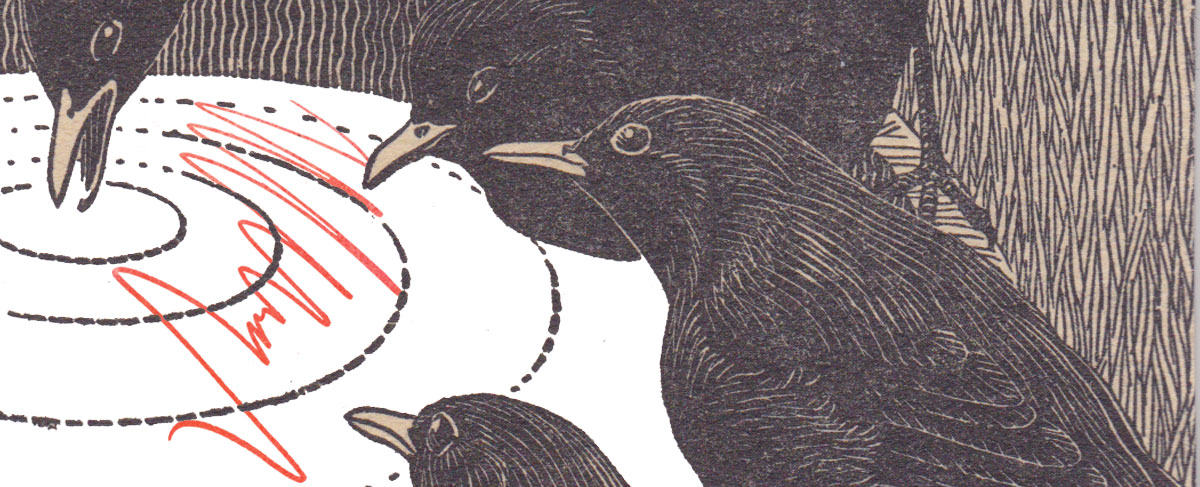 Social Media Consulting, Social Media Training Melbourne