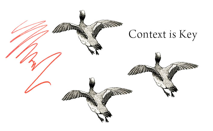 Context-is-key-to-online-storytelling-Spendlove-and-Lamb