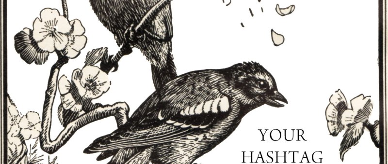 Spendove-and-Lamb-Twitter-Training-Melbourne