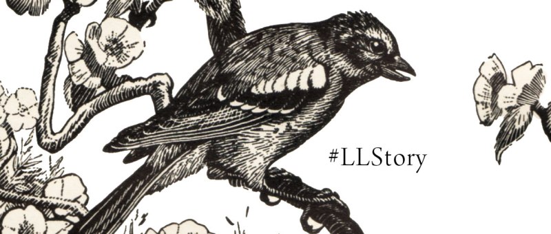 #LLStory-Interactive-storytelling-spendlove-and-lamb