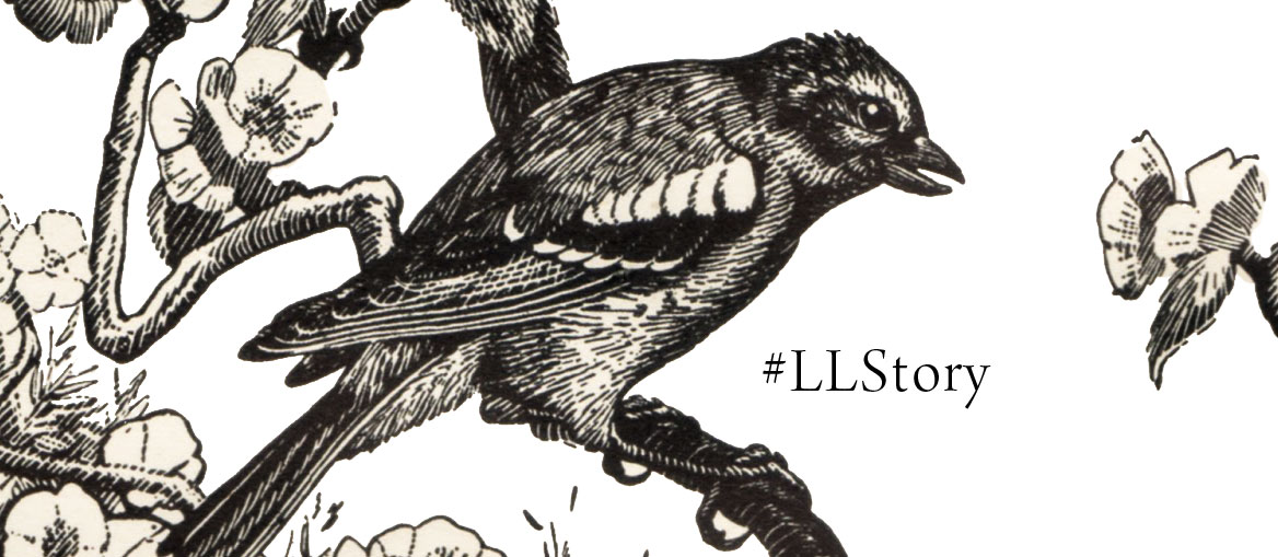 #LLStory-Interactive-storytelling-spendlove-and-lamb