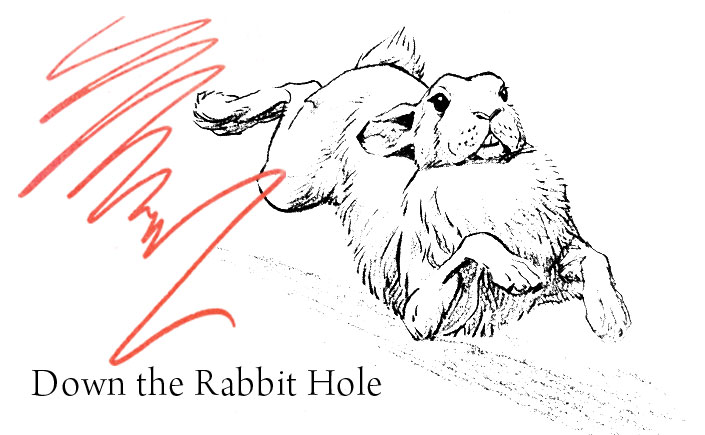 Aimlessly scrolling through posts or Tweets consumes vast amount of time and reveals very little results.