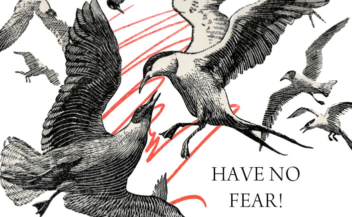 Have-no-fear-spendlove-and-lamb