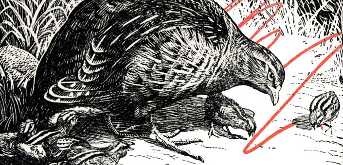 Dont-forget-to-play-spendlove-and-lamb