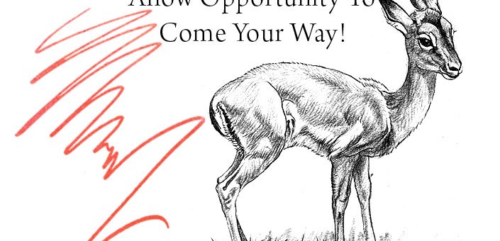 Allow-Opportunity-To-Come-Your-Way-Spendlove-and-Lamb