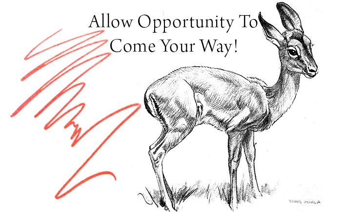 Allow-Opportunity-To-Come-Your-Way-Spendlove-and-Lamb