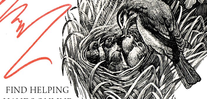 find-helping-hands-online-spendlove-and-lamb