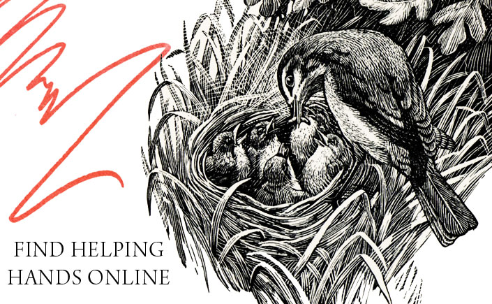 find-helping-hands-online-spendlove-and-lamb