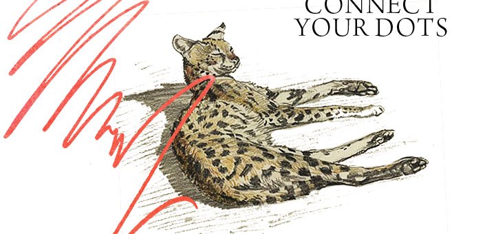 Connect-your-dots-Spendlove-and-Lamb