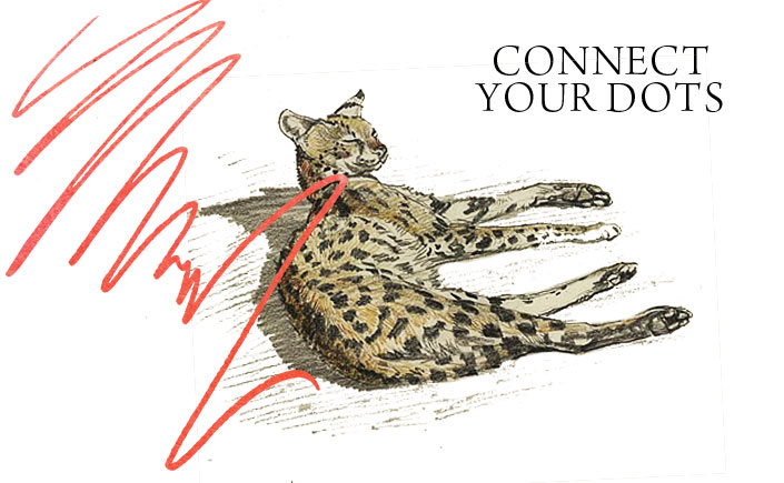 Connect-your-dots-Spendlove-and-Lamb