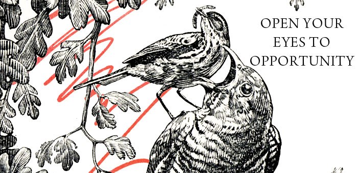 open-your-eyes-to-opportunity-spendlove-and-lamb