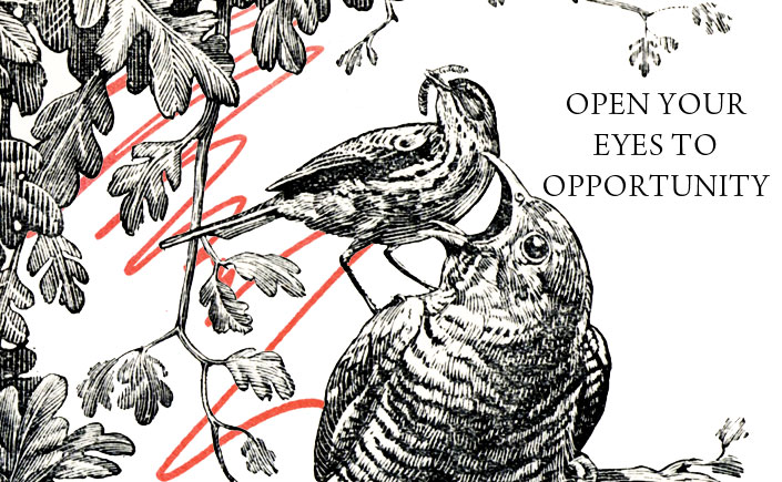 open-your-eyes-to-opportunity-spendlove-and-lamb