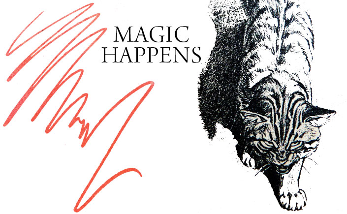 Magic-Happens-Spendlove-and-Lamb