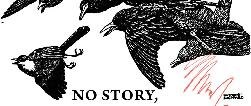 birds flying after a smaller birt